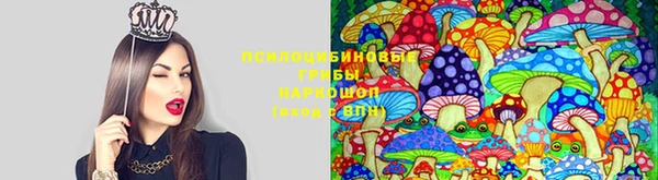 метадон Гусиноозёрск
