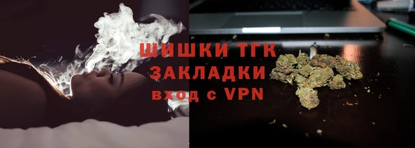 эйфоретик Гусев