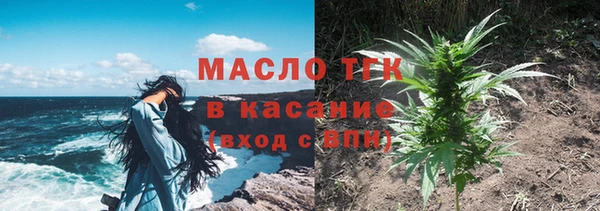 эйфоретик Гусев