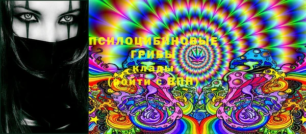 кокаин Гусь-Хрустальный