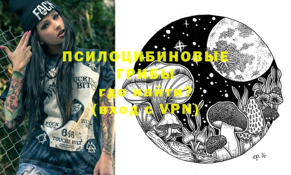 эйфоретик Гусев