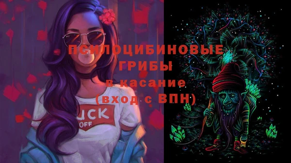 эйфоретик Гусев