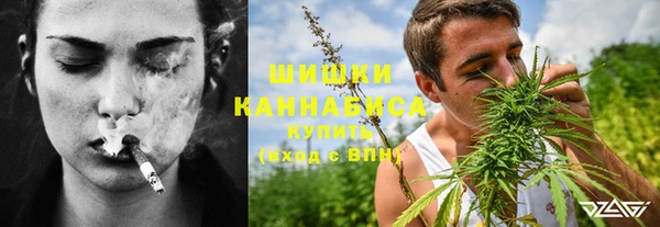 эйфоретик Гусев