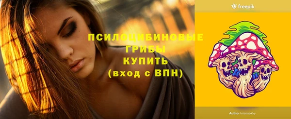 метадон Гусиноозёрск