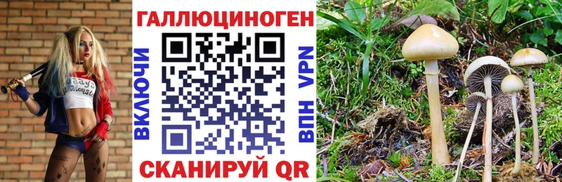 Галлюциногенные грибы ЛСД  Купить где  Вельск 